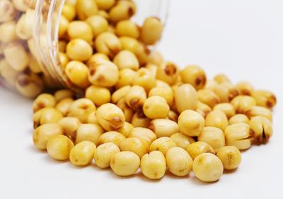 Giá sỉ hạt sen tận kho không quan trung gian